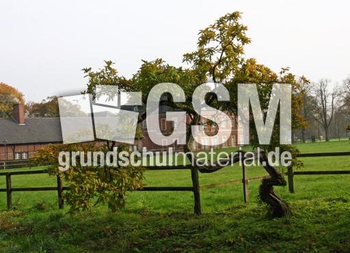 Herbststimmung-23-10-09 050.jpg